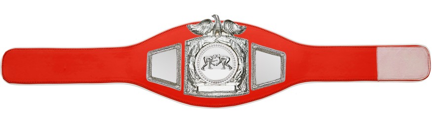 PROEAGLE GRAPPLING CHAMPIONSHIP BELT - PROEAGLE/S/GRAPS - AVAILABLE IN 6+ COLOURS PROEAGLE GRAPPLING CHAMPIONSHIP BELT - PROEAGLE/S/GRAPS - AVAILABLE IN 6+ COLOURS